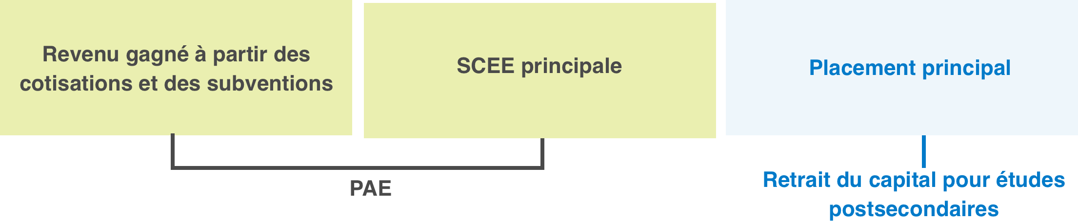 Valeur totale du compte de REEE RESP Total Account Value